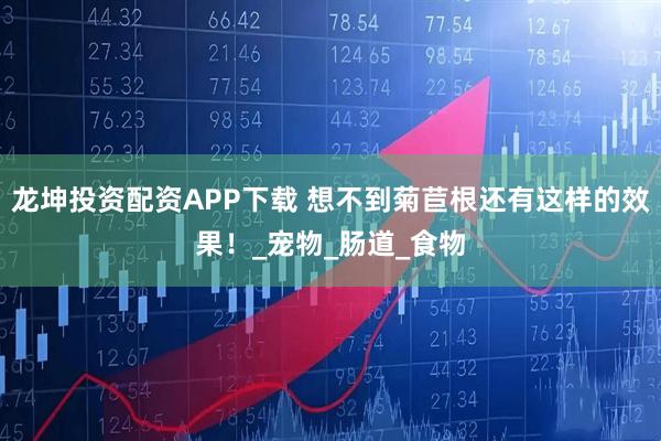 龙坤投资配资APP下载 想不到菊苣根还有这样的效果！_宠物_肠道_食物