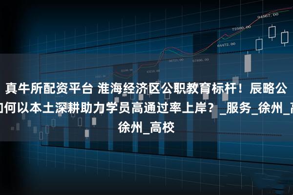 真牛所配资平台 淮海经济区公职教育标杆！辰略公考如何以本土深耕助力学员高通过率上岸？_服务_徐州_高校
