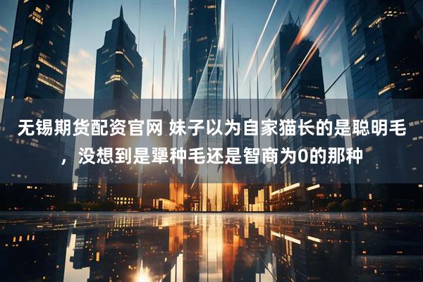 无锡期货配资官网 妹子以为自家猫长的是聪明毛，没想到是犟种毛还是智商为0的那种