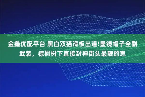 金鑫优配平台 黑白双猫滑板出道!墨镜帽子全副武装,棕榈树下直接封神街头最靓的崽