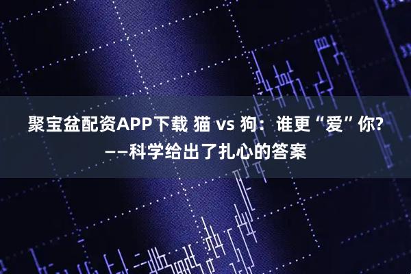 聚宝盆配资APP下载 猫 vs 狗:谁更“爱”你?——科学给出了扎心的答案