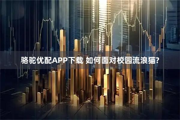 骆驼优配APP下载 如何面对校园流浪猫?